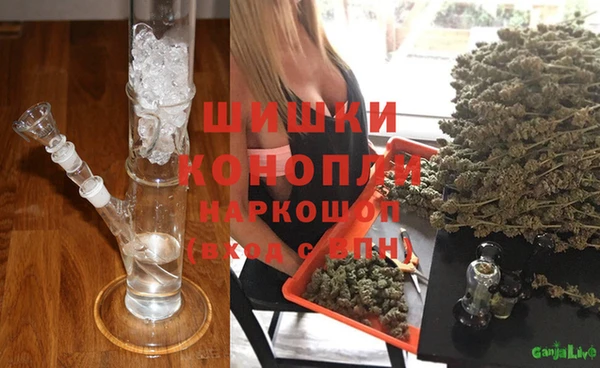 сатива Армянск