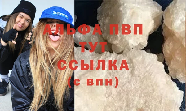 сатива Армянск